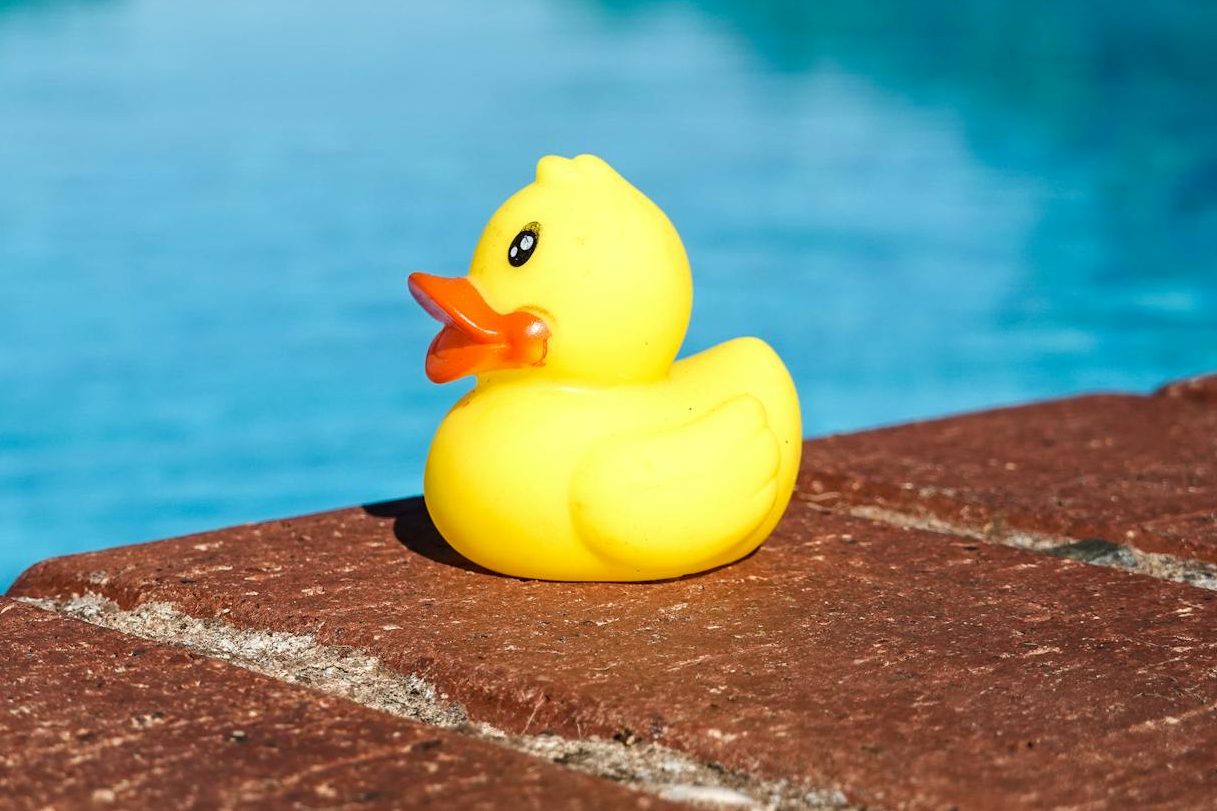 Picture of a rubber duck by a swimming pool